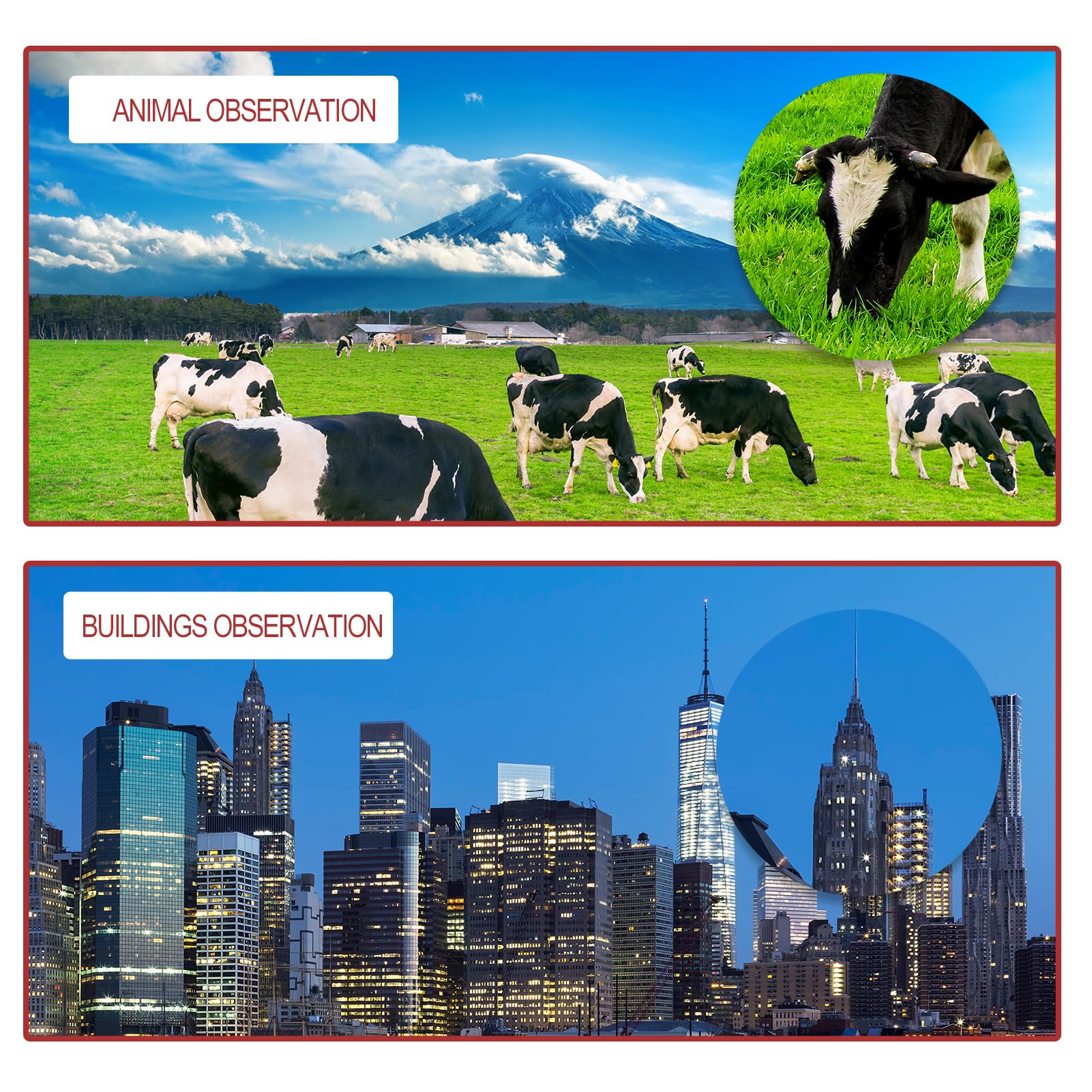 Astronomical Telescope, Professional 20X 30X 40X Astronomical Landscape Telescope with Tripod, Portable for Beginners - Image 7