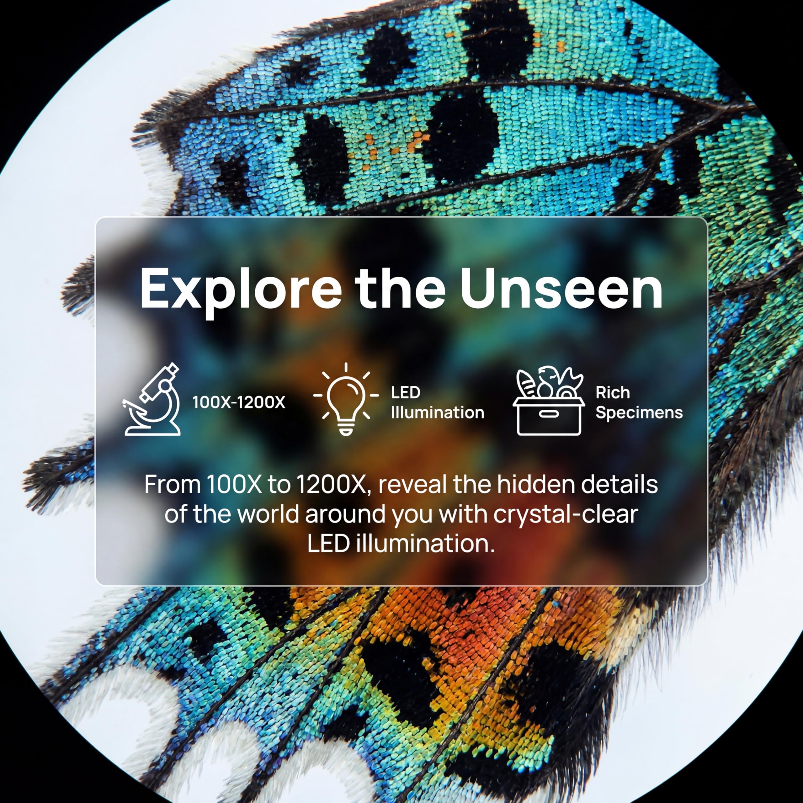 Kids Microscope Kit with LED Light - 100X/400X/1200X Magnification for STEM Learning, 12 Prepared Slides, Easy-to-Use Science Learning Kit (Ages 5-12) - Image 5