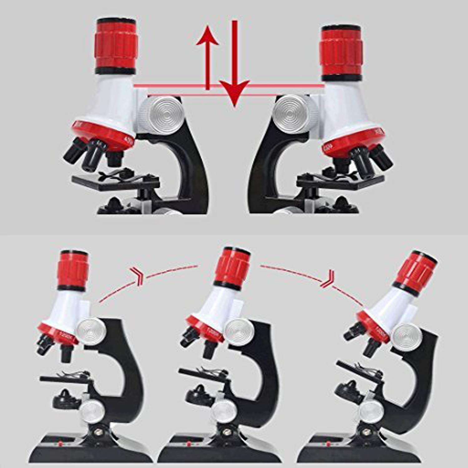 Little World Science Kits for Kids Beginner Microscope Kit with LED 100X 400X and 1200X Magnification Kids Educational Toy Birthday Halloween - Image 7